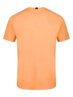 BRUNEI PURE COTTON T-SHIRT 13 BRUNEI PURE COTTON T-SHIRT -Luke M730150 NECTARINE 2 b33edcc2 db87 496b a609 1b75c4ca03e8