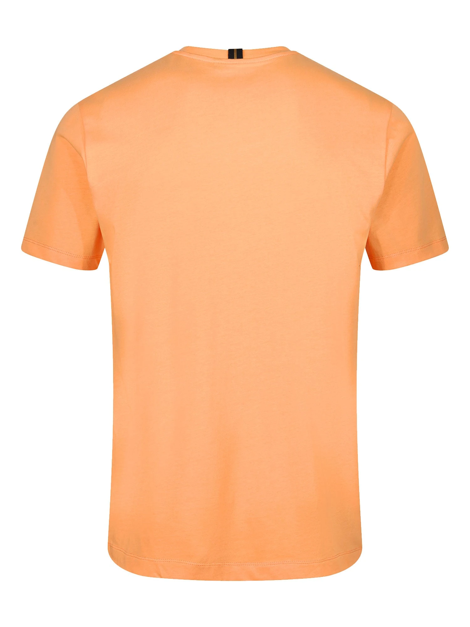 BRUNEI PURE COTTON T-SHIRT 6 BRUNEI PURE COTTON T-SHIRT - Image 6