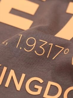 AI TEE RELAXED FIT HEAVYWEIGHT T-SHIRT -Luke M750159 MUSHROOM 4