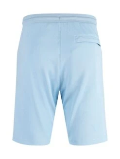 PHOENIX TEXTURED SHORTS -Luke M801051 SKY 3